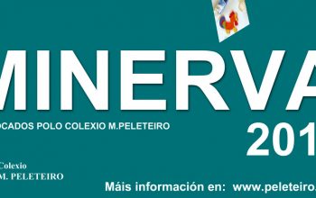 cartel-minerva-web