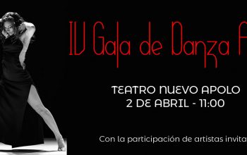 imagen-de-noticia-de-gala-de-danza-2017