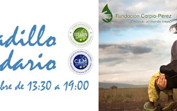 IN Mercadillo Solidario Colegio Europeo Bebin 2017