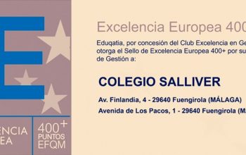 IN-EFQM 400+ Salliver