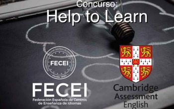 feei-web