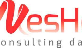 logo-mesher