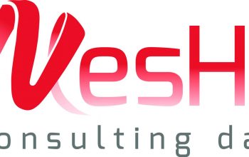 logo mesher