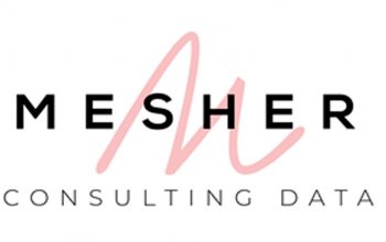 LOGO-MESHER