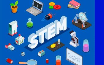 stem