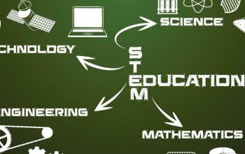 stem
