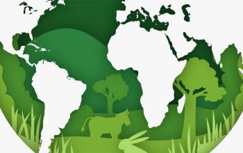 medioambiente